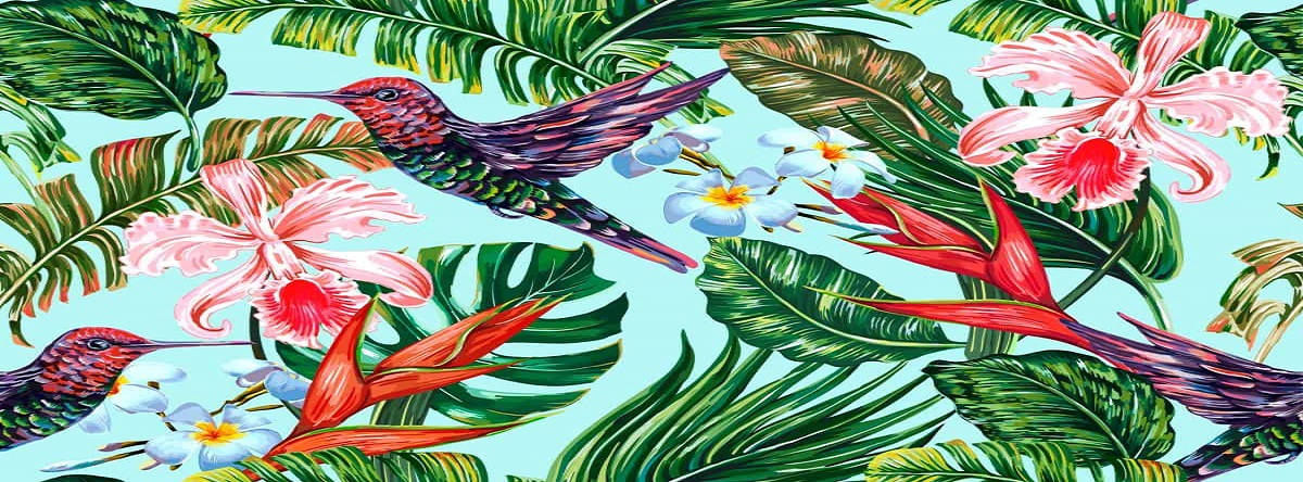 colibri2